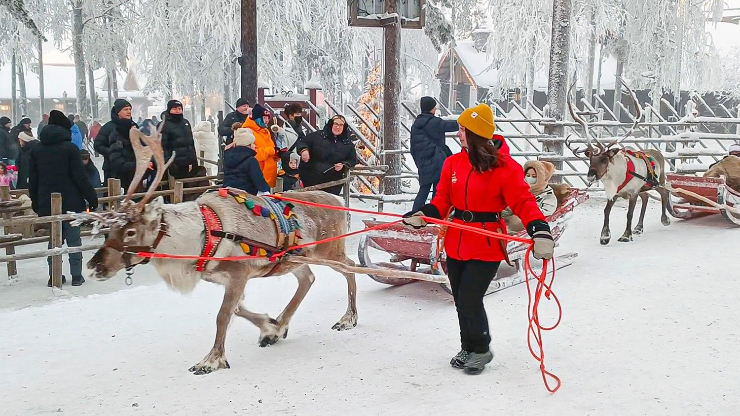 Santa Claus Reindeer 1500x844 02